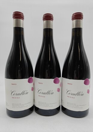Descendientes de J. Palacios Corullon Vino de Villa 2022
