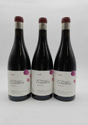 Descendientes de J. Palacios Corullon Vino de Villa 2018