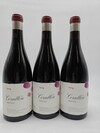 Descendientes de J. Palacios Corullon Vino de Villa 2019
