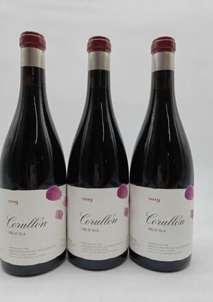 Descendientes de J. Palacios Corullon Vino de Villa 2019