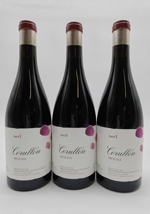 Descendientes de J. Palacios Corullon Vino de Villa 2023
