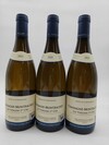 Fernand & Laurent Pillot Chassagne Montrachet Les Vergers 2021