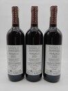 Giovanni Canonica Barolo Paiagallo 2021