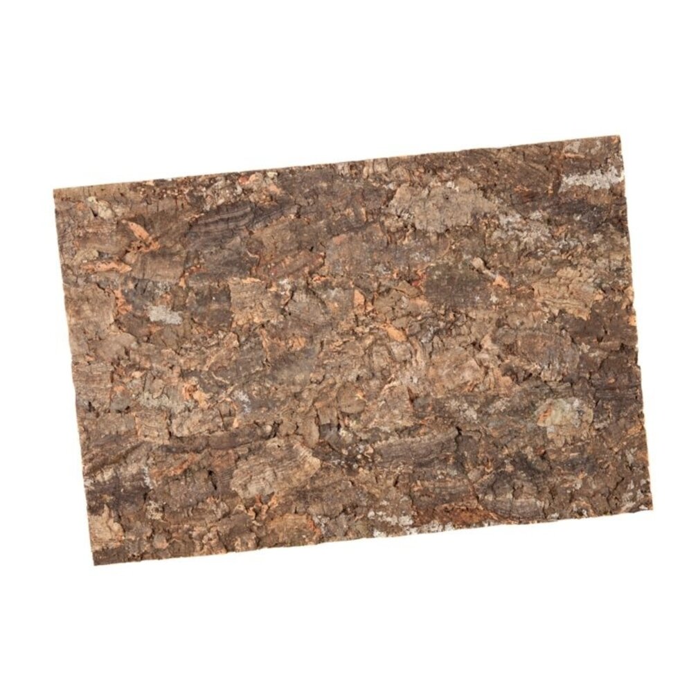 Wandkork platte - Cork Forest - 60 x 90 cm