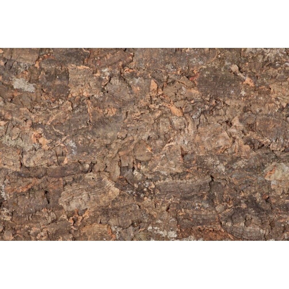 Wandkork platte - Cork Forest - 60 x 90 cm