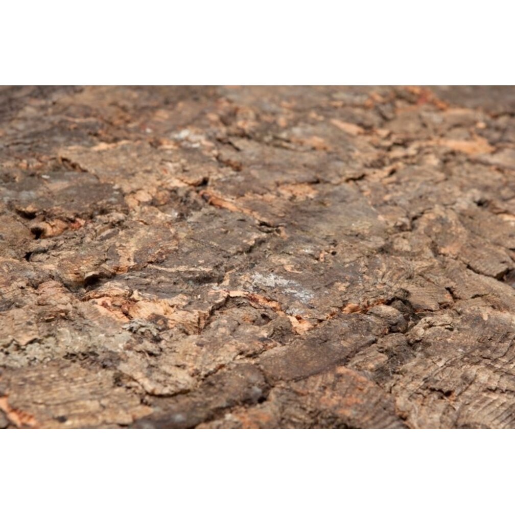 Wandkork platte - Cork Forest - 60 x 90 cm