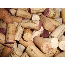 Gebrauchte wein korken 50 STÜCK