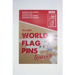 Flaggen-Pins, Fahnen-Pins - AMERIKA - 25 Stück