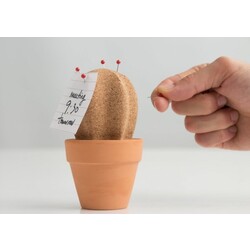 Kork-Kaktus als Schreibtisch-Organizer