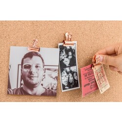 Push Pin - Clips - 12 Stück