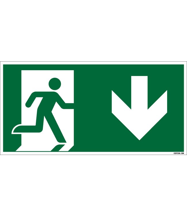 Picto Promo Pictogramme sortie de secours en bas - plastique