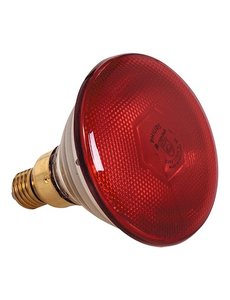 EMGA Warmtelamp met Rood Licht | 175Watt