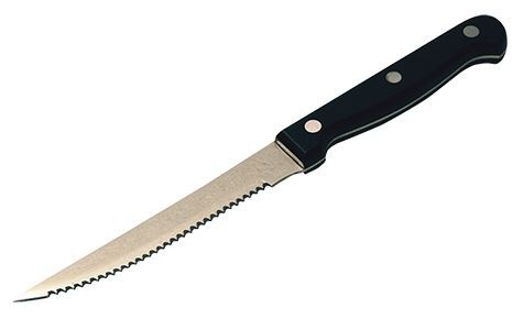 ProSup Bistro steakmes met kunststof heft RVS | Lengte 22 cm.