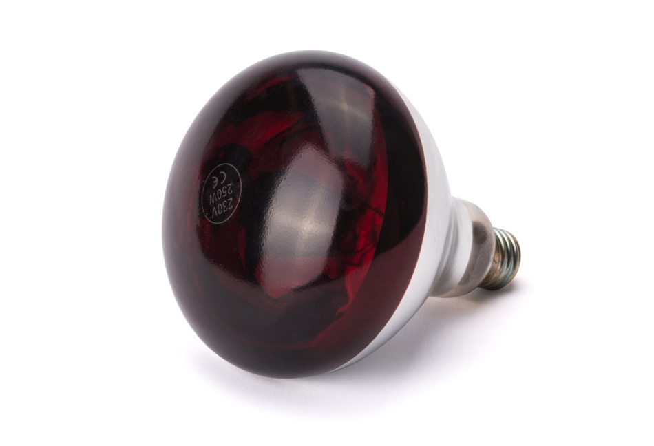 Hendi Hendi Infrarood warmtelamp vervangingslamp | 250W