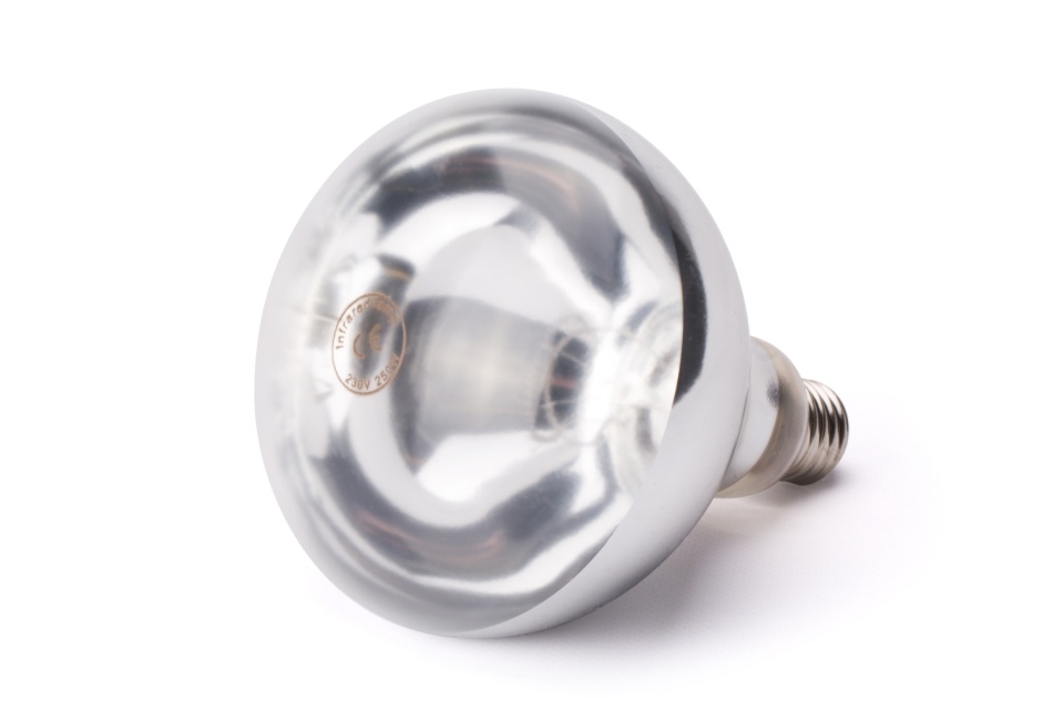 Hendi Hendi Warmtelamp met helder glas infrarood | 250W