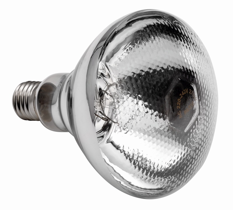 Bartscher Infrarood warmtelamp met helder glas | 250Watt