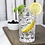 Olympia Olympia Old Duke tumblers 250ml | 6 stuks