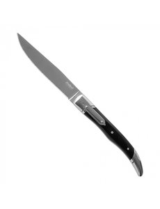  Steakmes met micro kartel RVS | Lengte 23 cm.