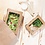 Fiesta Fiesta Recyclable saladeboxen met PET venster 700ml (200 stuks)