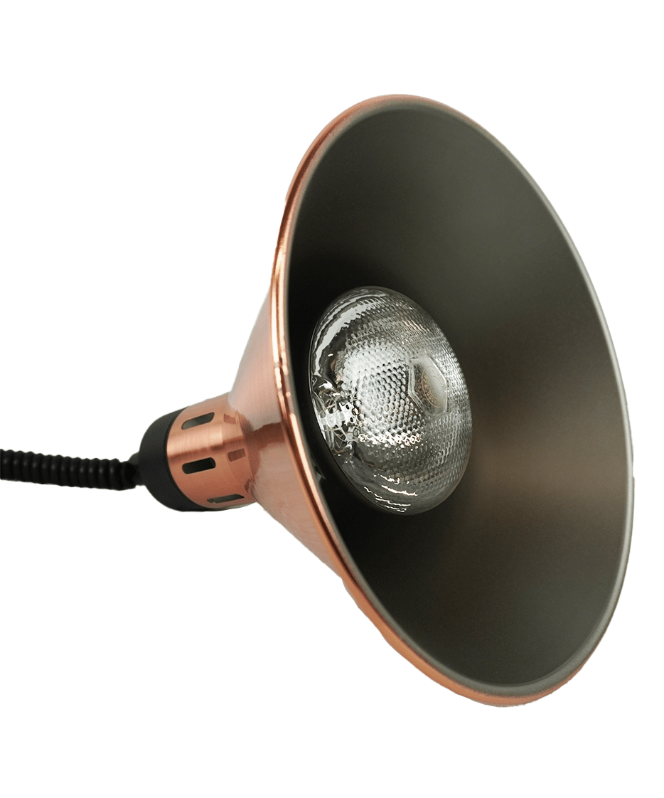 Combisteel Cs Warmhoudlamp Ch-02 Brons | 0,25kW | 7455.1815, foto 4 van 6