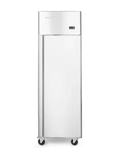 Hendi/Arktic Vriezer enkele deur 410L | Arktic | Profi Line | 230V/600W | 600x740x(H)1950mm
