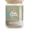 Bio Hair Plantenkleuring "Februari" 300gr. Bio Hair Plantenkleuring "Februari" 300gr.