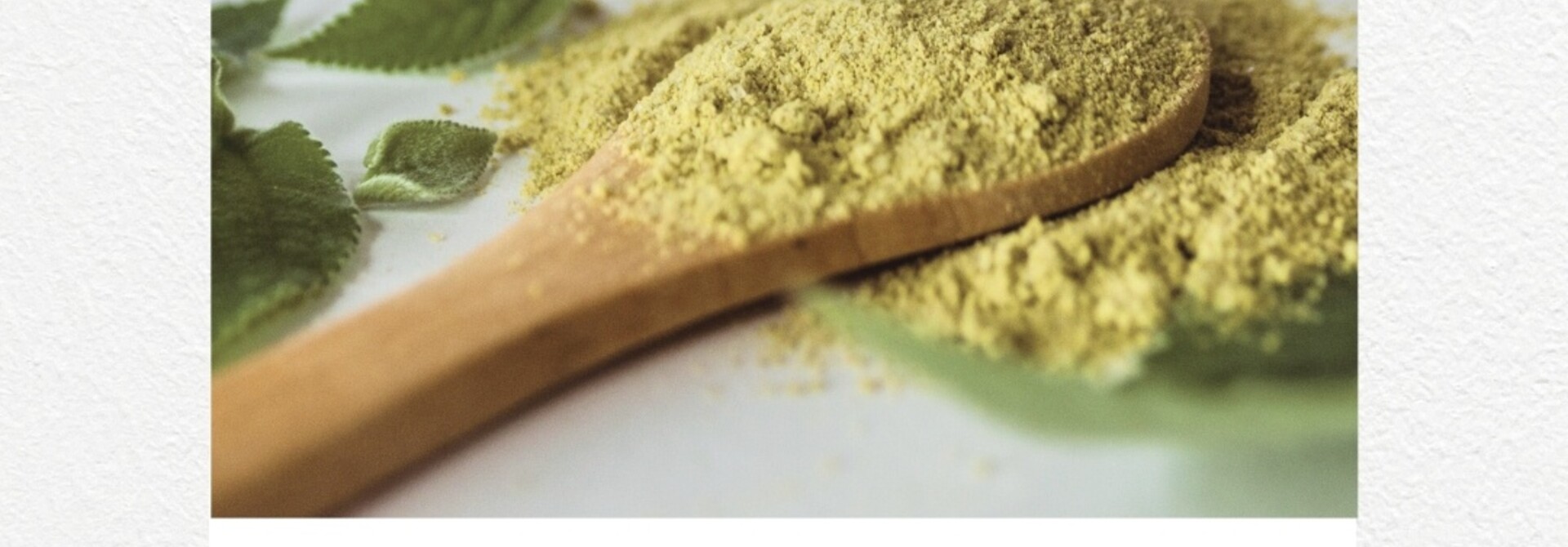 PRAKTIJK - PLANTENKLEURING 14/09