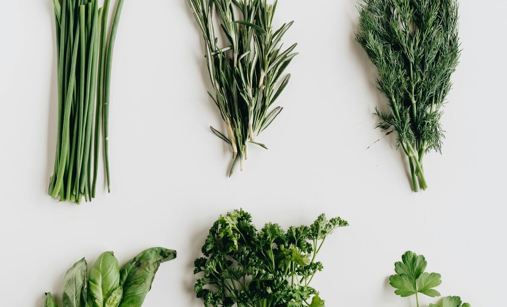 De kracht van Ayurvedische planten in moderne haarverzorging