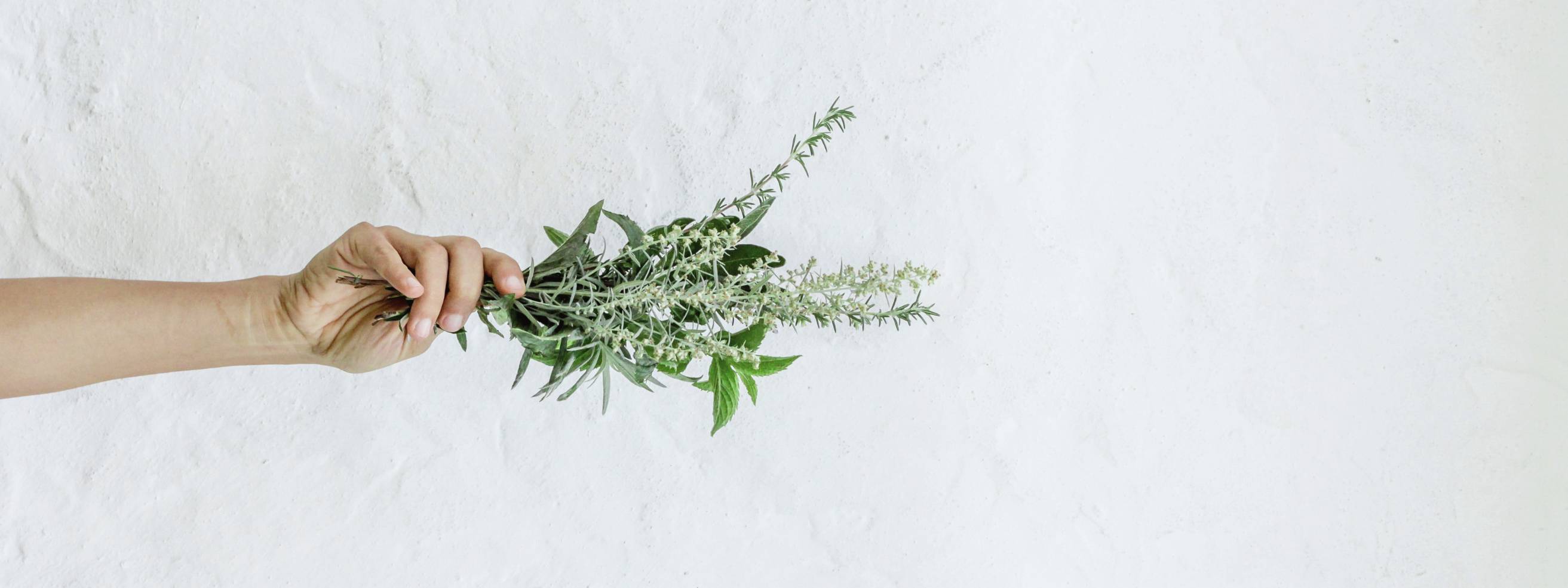 Groen ondernemen kan!-1