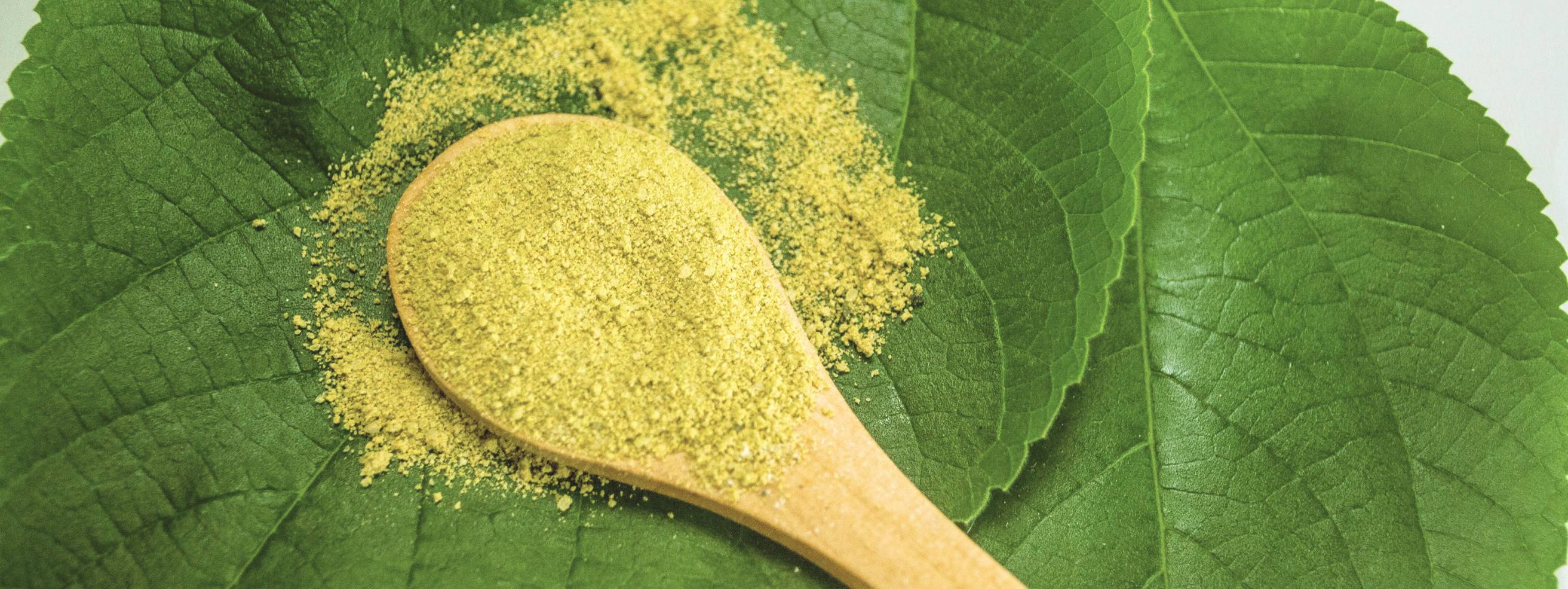 Alles wat je wil weten over plantenkleuringen-1