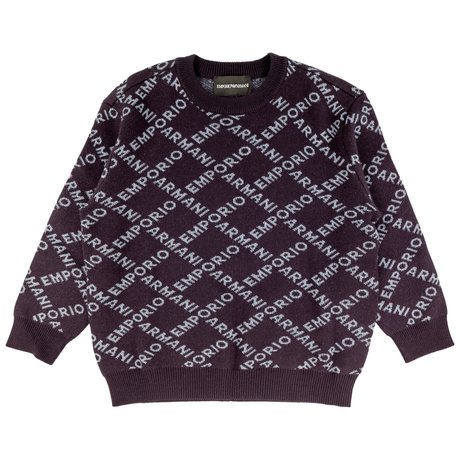 blue armani jumper