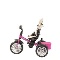 Bentley Tricycle Tricycle/ buggy 6 in 1 Tricycle/ buggy 6 in 1