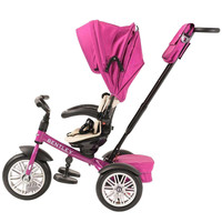 Bentley Tricycle Tricycle/ buggy 6 in 1 Tricycle/ buggy 6 in 1