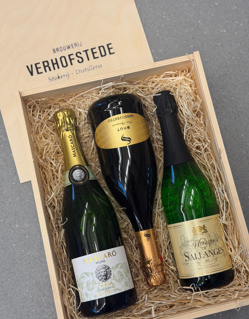 Geschenkkist schuimwijn