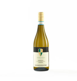 San Silvestro Adelasia wit