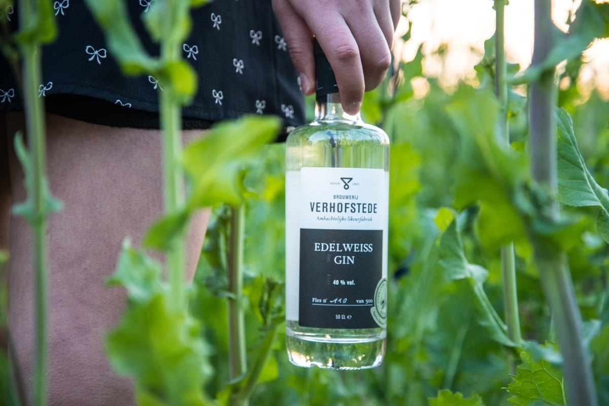 Edelweiss Gin van Brouwerij Verhofstede - ambachtelijke Belgische spirits