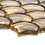 Luxury Tiles Scallop Gold Shell Mosaic Tile