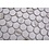 Verona Calacatta White Penny Mosaic 312 x 330 mm