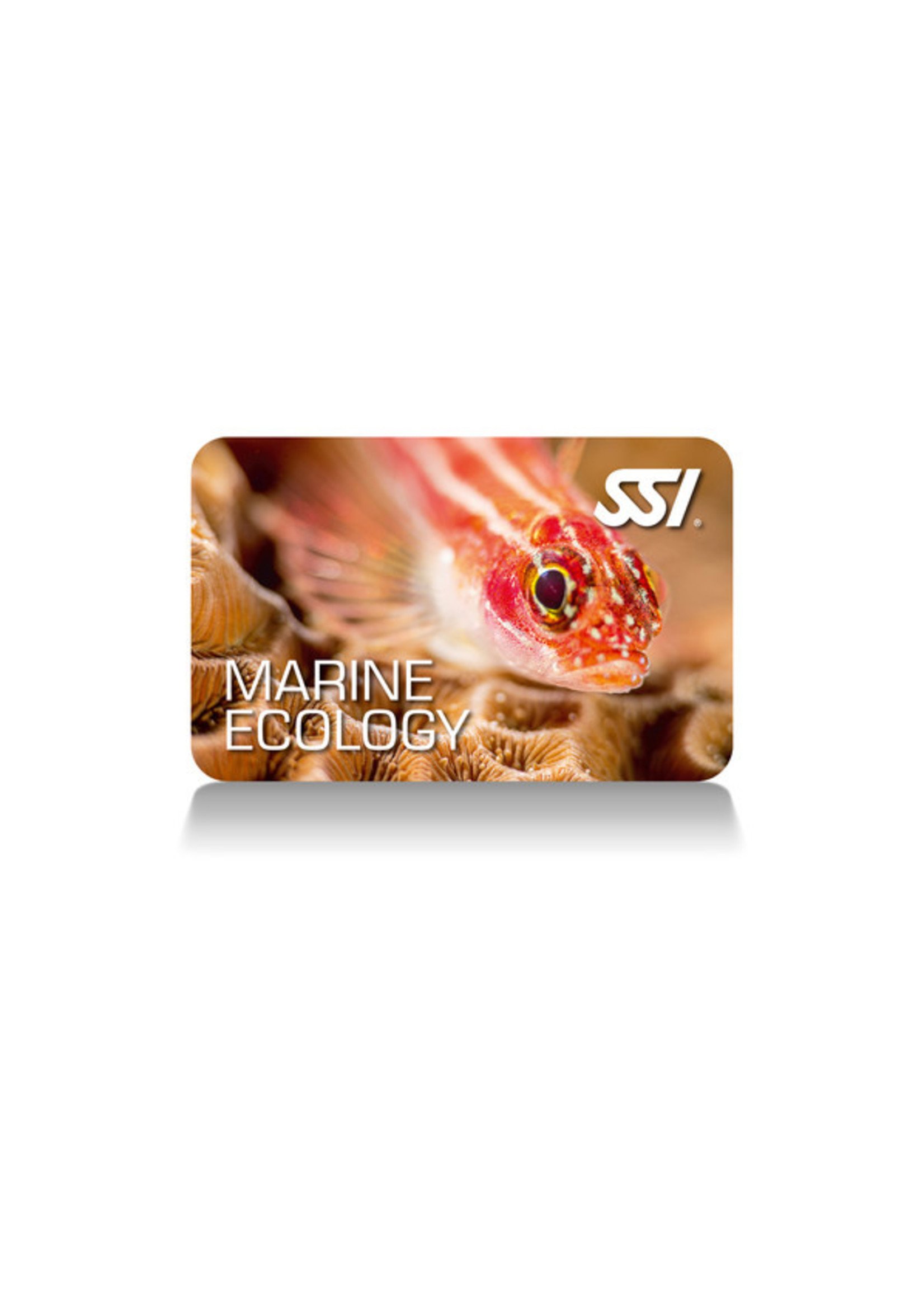 SSI Marine Ecology Specialty