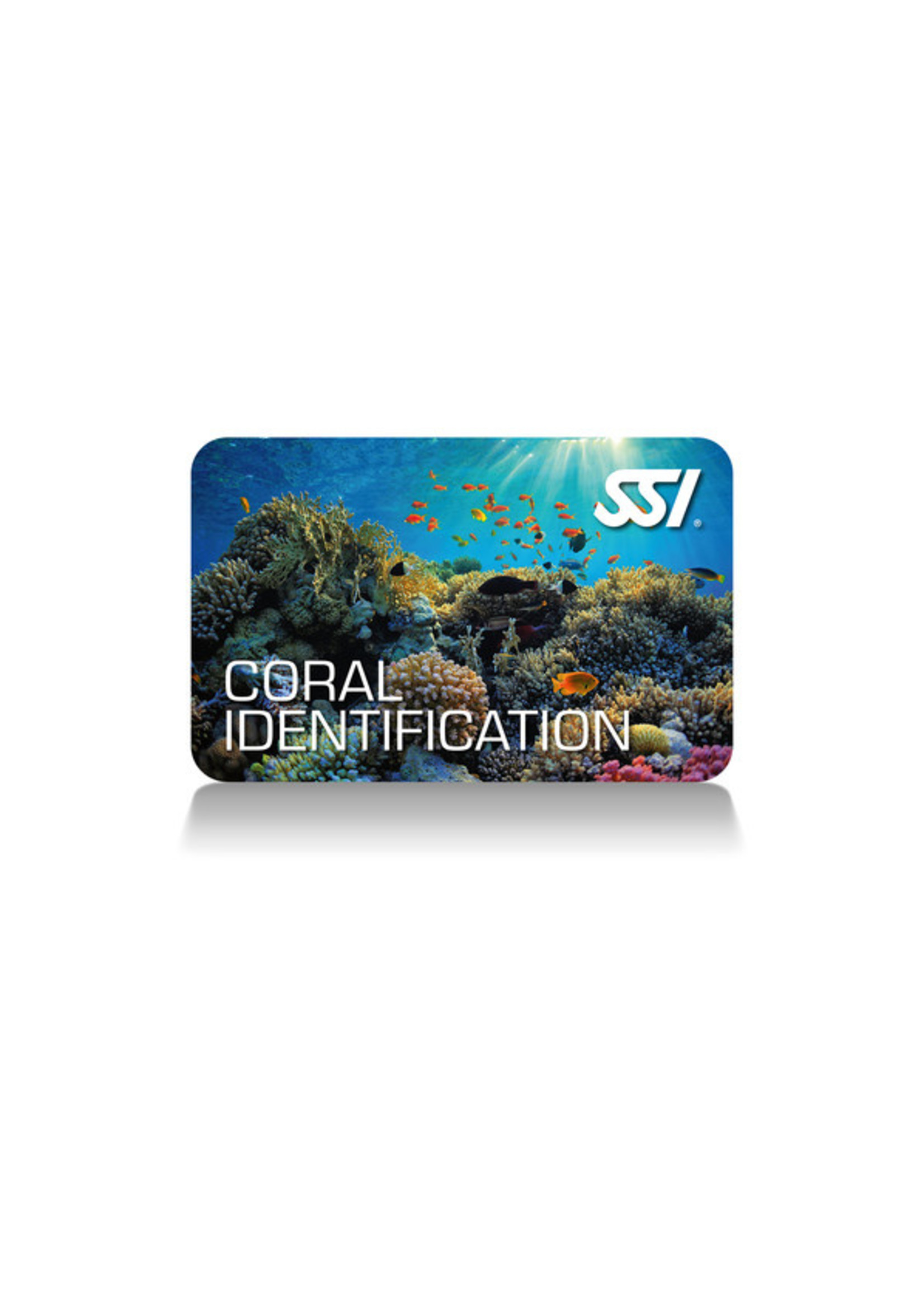 SSI Coral Identification Specialty