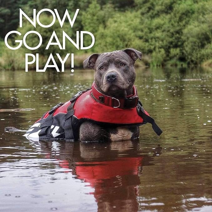 Honden Zwemvest – Veilig Reddingsvest voor Zwemmen en Watersport