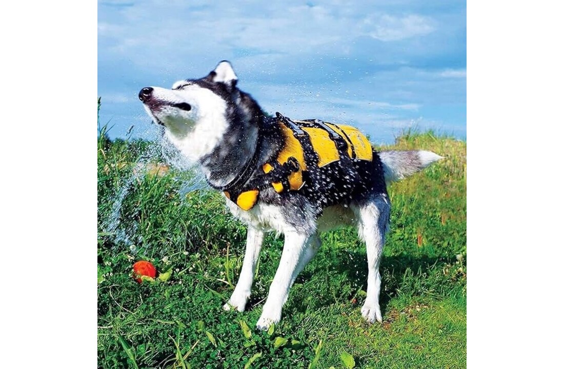 Honden Zwemvest – Veilig Reddingsvest voor Zwemmen en Watersport