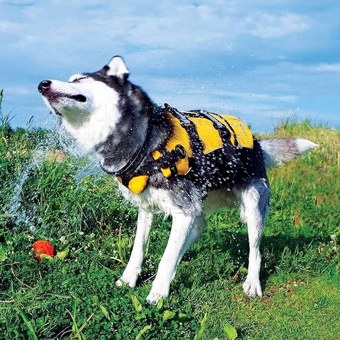 Honden Zwemvest – Veilig Reddingsvest voor Zwemmen en Watersport