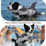 CITÉTOILE Reddingsvest Hond – Ripstop Zwemvest voor Middelgrote Honden