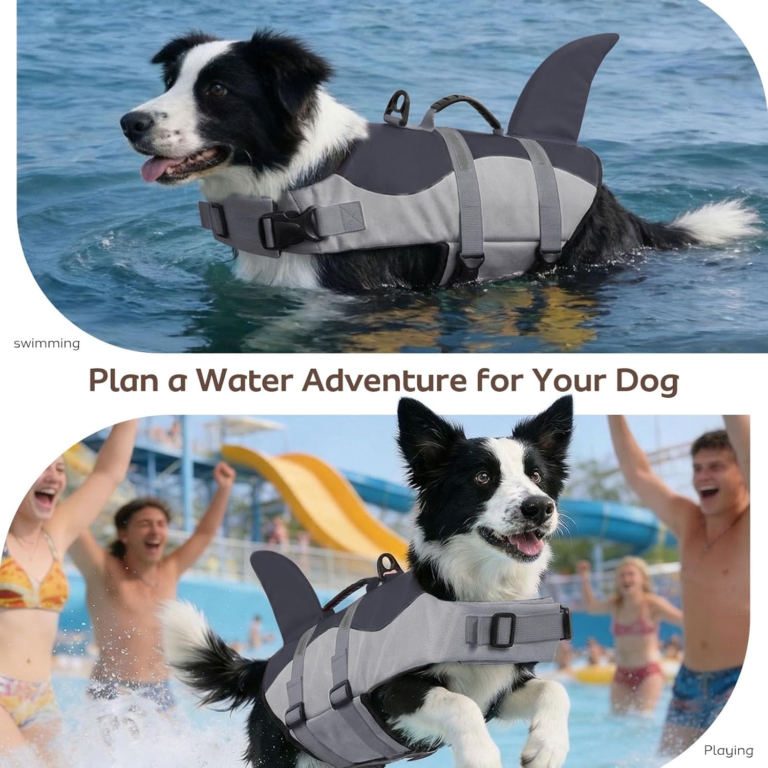 CITÉTOILE Reddingsvest Hond – Ripstop Zwemvest voor Middelgrote Honden