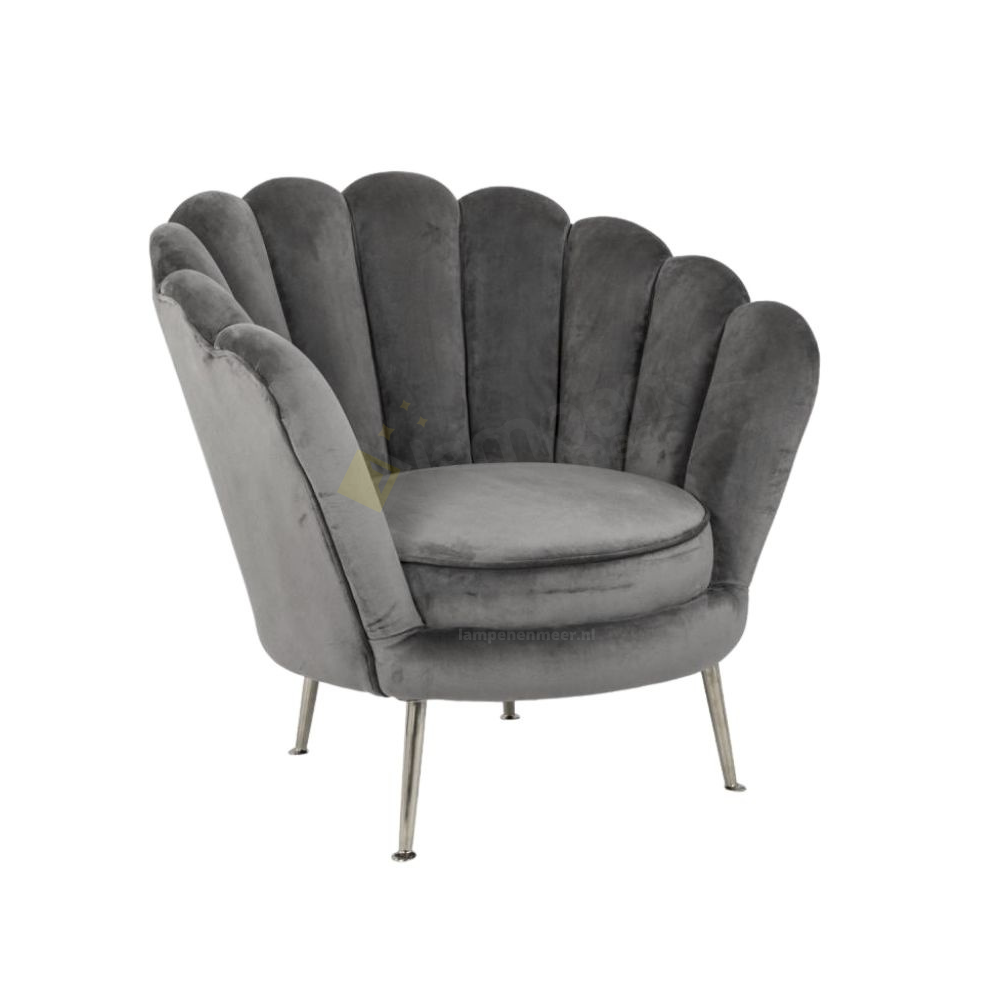 Fauteuil Schelp Levit Velvet Grijs / Zilver