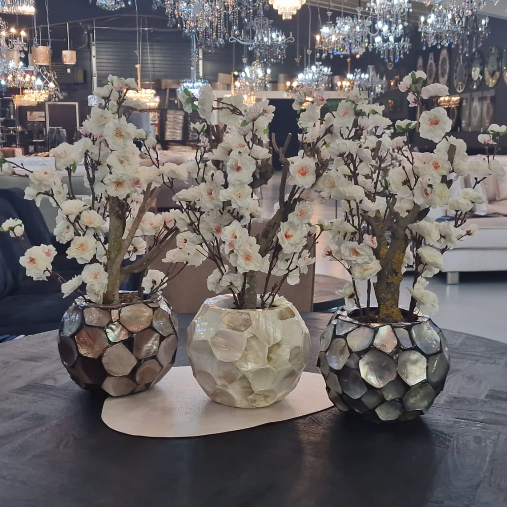 Schelpenvaas - Lucia - Met Bloemen