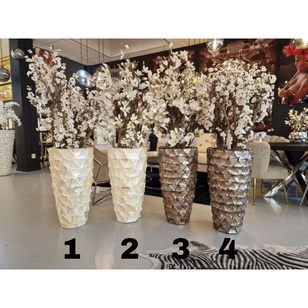 Schelpenvaas Actie