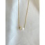 Fresh Water Pearl Necklace Gold - Stainless Steel