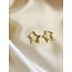 Star Earrings Gold Plated (gold plated)